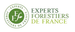 EXPERTS-FORESTIER-FRANCE-LOGO-TUwD