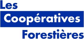 LOGO-UCFF-2024---RVB-3gw1