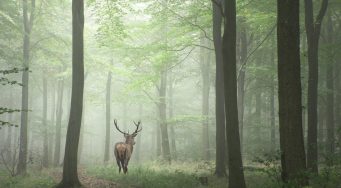 shutterstock-1562475487-PiW3